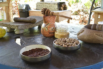 A close-up shot on a rustic wooden table displaying various tools and ingredients for making chocolate, likely at a cocoa farm. In the foreground, two bowls contain cocoa beans: one filled with whole, light brown cocoa beans, and another with darker, roasted and possibly crushed cocoa nibs. Behind them, there's a small jar of what appears to be sugar. To the left, a stone metate and mano (grinding stone and roller) are visible. In the center, a decorative clay pitcher holds a wooden molinillo (a whisk for frothing hot chocolate). To the right, another stone mortar and pestle are present. The background shows glimpses of an outdoor, shaded area with natural light.