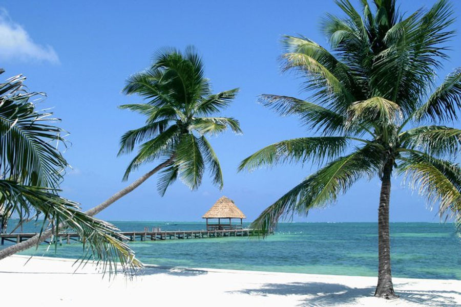 Tropical white-sand beach lined with palm trees overlooking turquoise ocean water and a wooden pier with a thatched-roof gazebo.