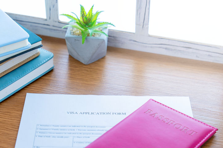 A "VISA APPLICATION FORM" lies on a wooden desk next to a bright pink passport cover. In the background, a small green succulent plant in a gray geometric pot sits near a window, with a stack of notebooks to the left.
