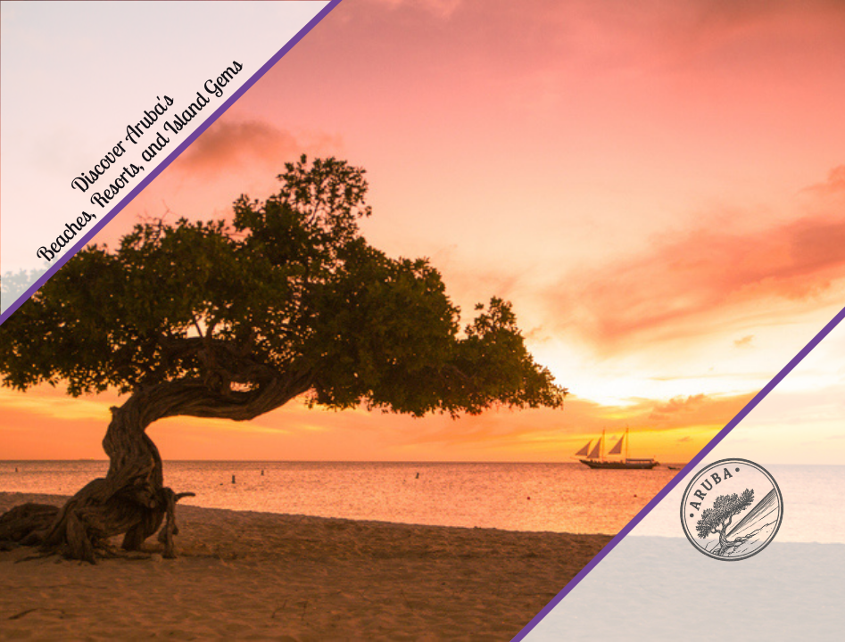 A beach scene at sunset with a bent divi-divi tree, calm ocean, and a distant sailboat, framed by purple promotional border banners and an Aruba travel stamp in the corner.