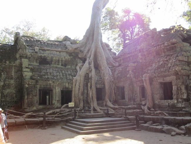Ta Prohm, Angkor Archaeological Park, Cambodia