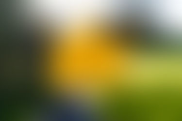 🔔The Numbers Don’t Lie: Buyer’s Market Could Be Over by November