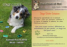 Toilettage domicile chien canin