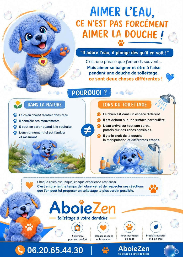 chien heureux qui joue dans l'eau, toilettage canin, réaction du chien à l'eau, chien à laise dans l'eau