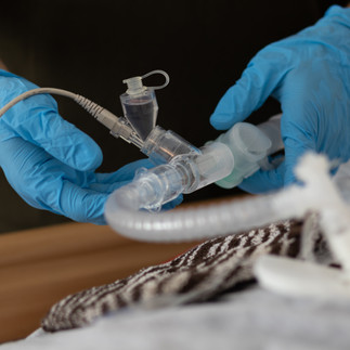 Beatmungsschlauch und Hände Pflegepersonal