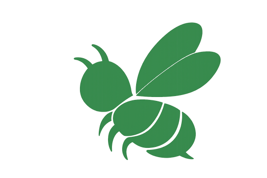 Naeema Project Bee (Green)_edited.png