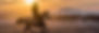 AdobeStock_250845386 (1)_edited_edited.jpg