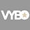 vybo logo_edited.jpg