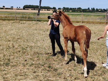 Mailand Fotografie, Fotografin
