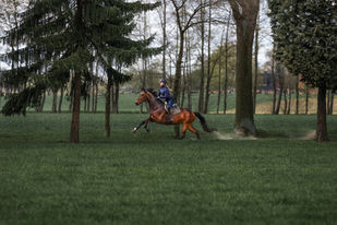 Mailand Fotografie, Tierfotografie