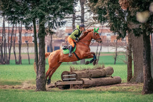 Mailand Fotografie, Tierfotografie