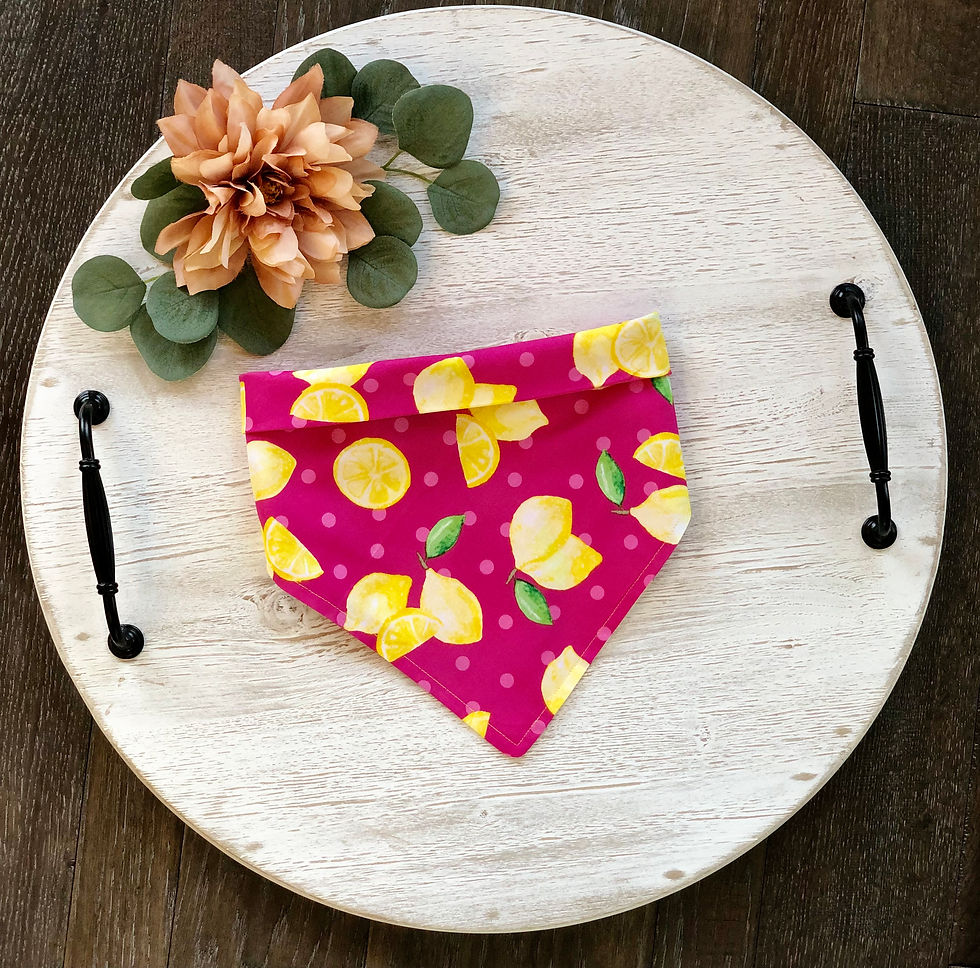 Pet Scarf in Pink Lemons
