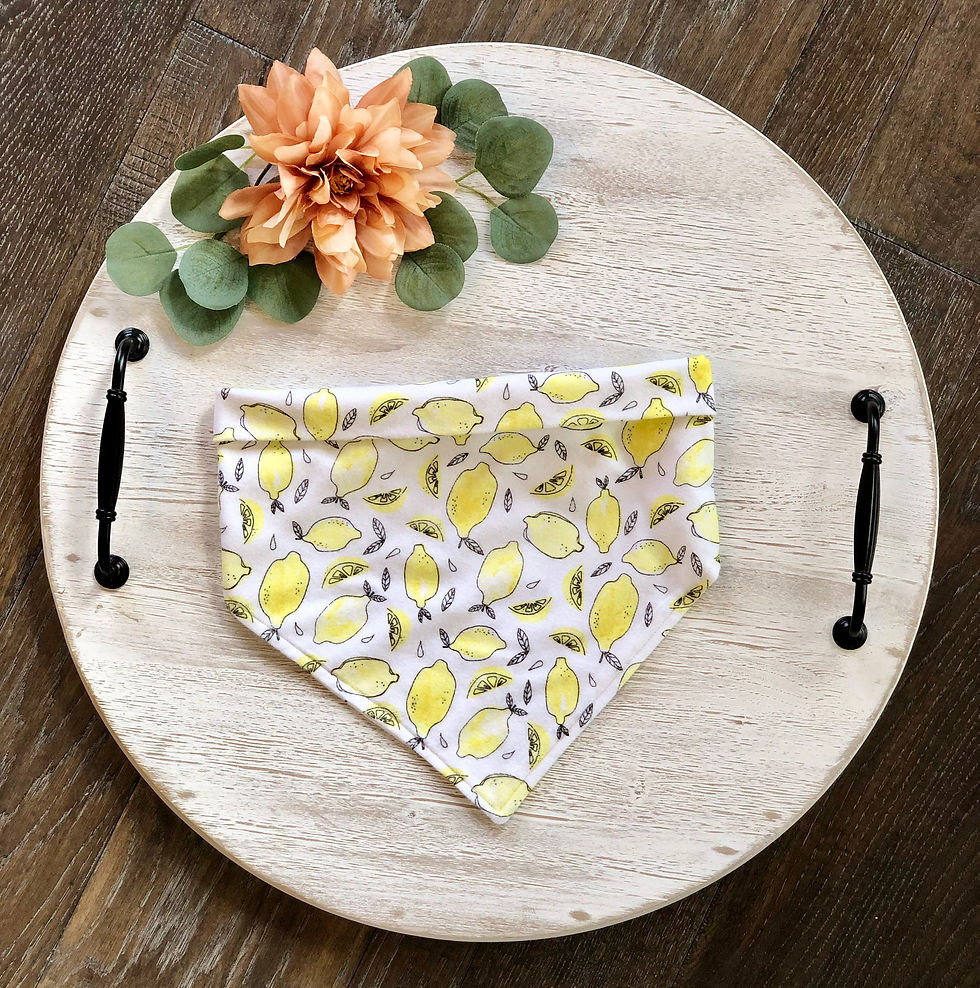 Pet Scarf in Soft Lemons