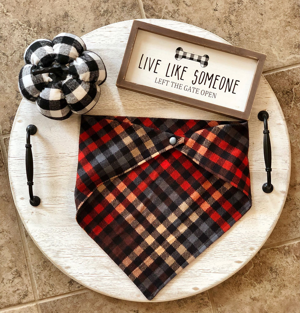 Thumbnail: Pet Scarf in Fall Evening