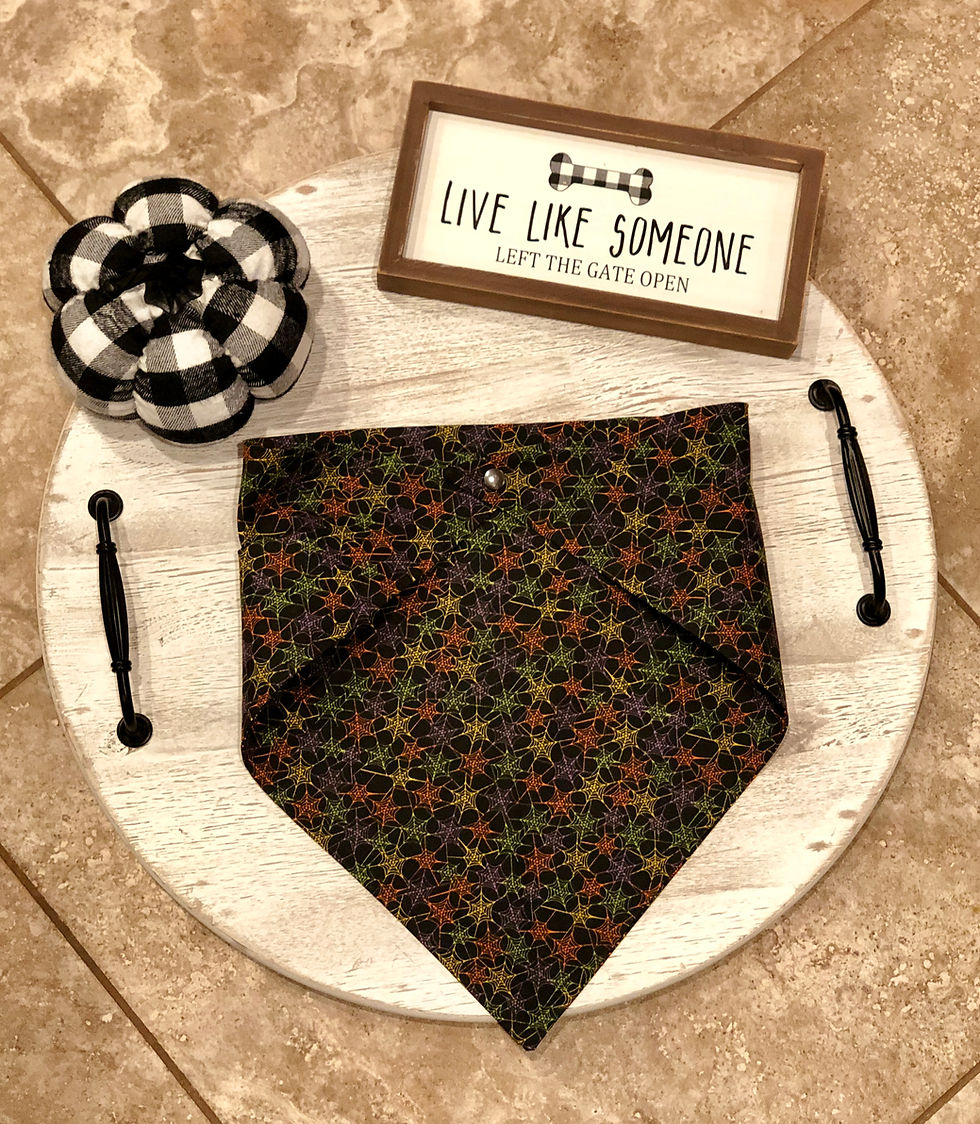 Thumbnail: Bright Webs Tonight