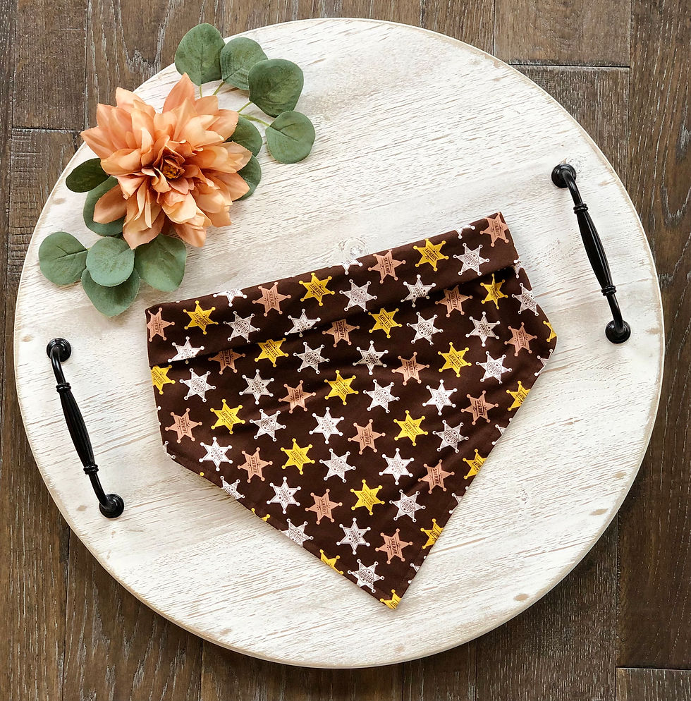 Pet Scarf in Sheriff's Posse