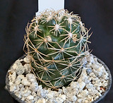 PXL_20250723_192344315.jpg