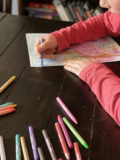 Pedagogische en integrale begeleiding Talentezorg.jpg