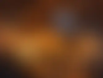 Animal Noises in Attic and What to Do Next