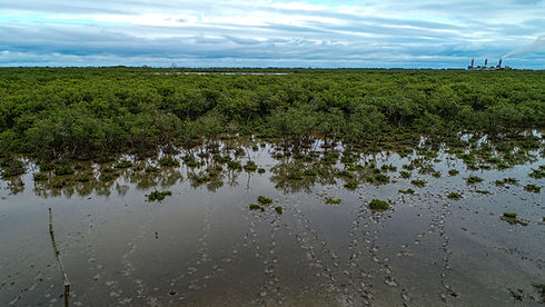 DJI_0220.jpg