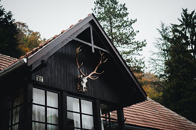 norbert-buduczki-lE0Ys-IcetA-unsplash.jpg
