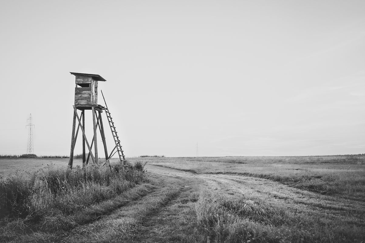 AdobeStock_121209593.jpeg