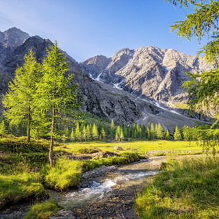 AdobeStock_317016576.jpeg