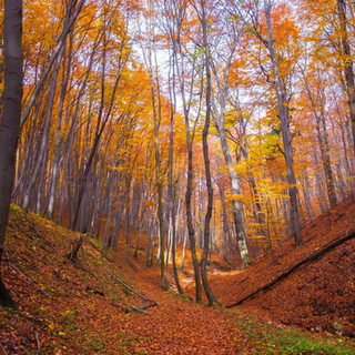 AdobeStock_72906448.jpeg
