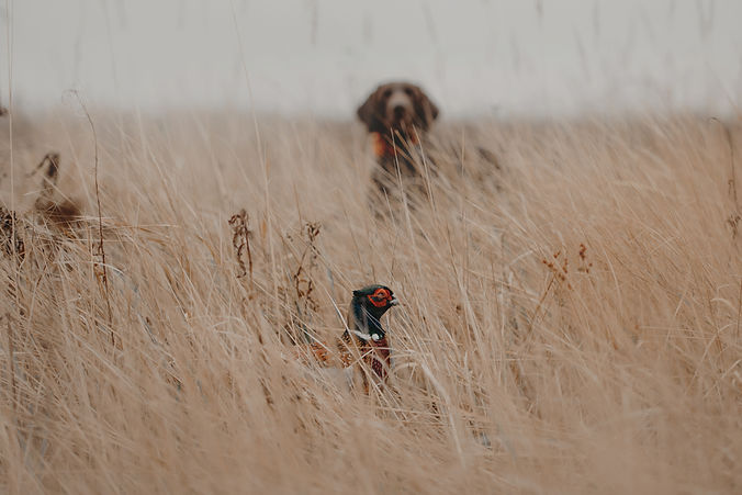 AdobeStock_328233577.jpeg