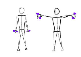 Supraspinatus shoulder abduction