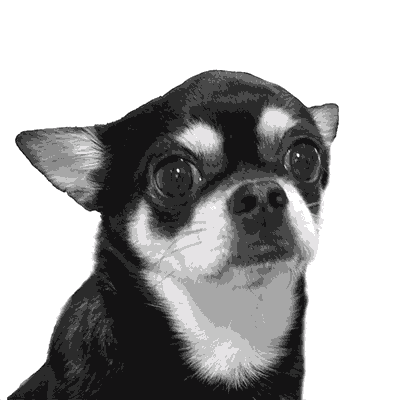 GIF-ANIMAATIOT | Education