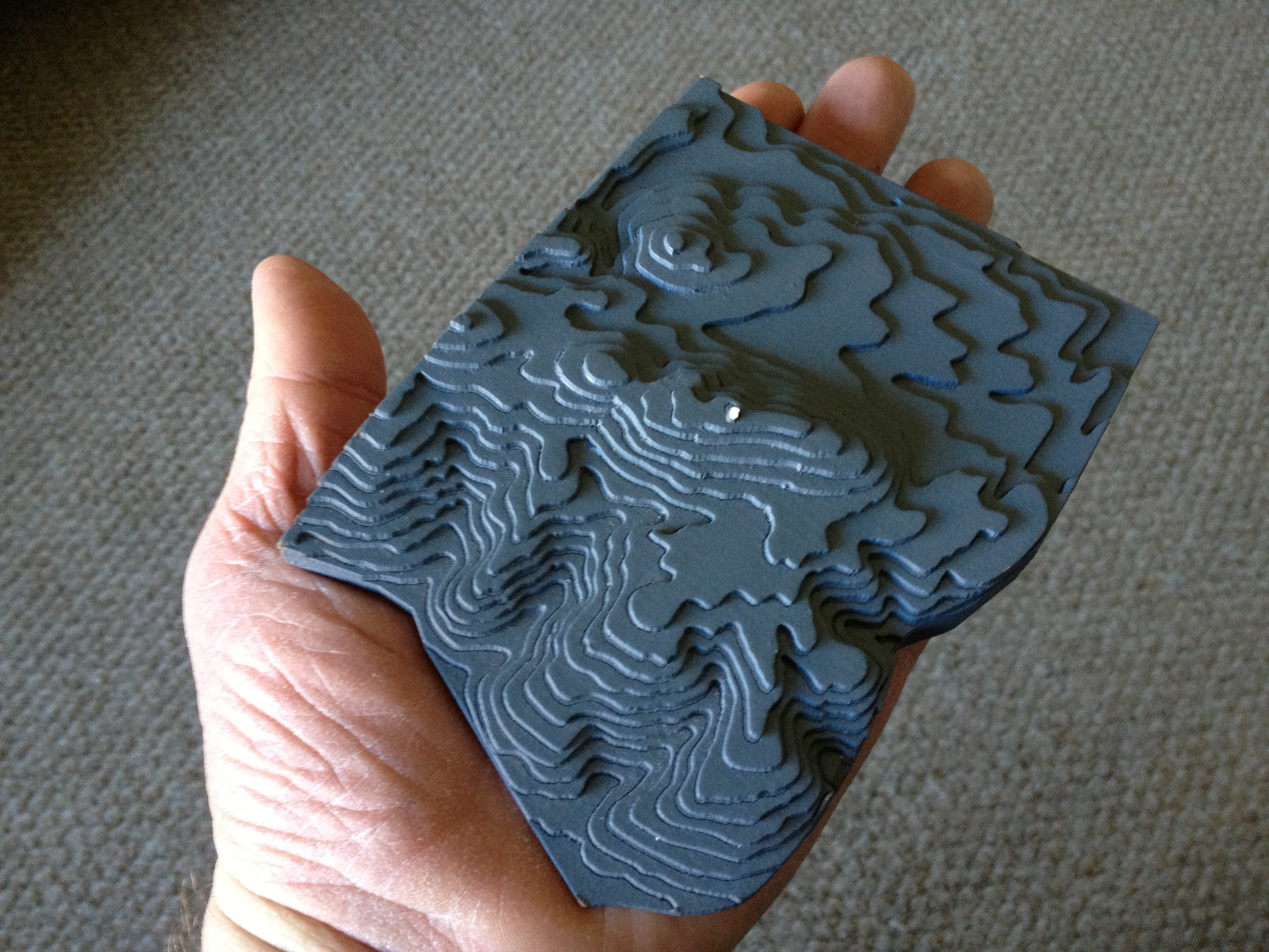 edgewood park paper model
