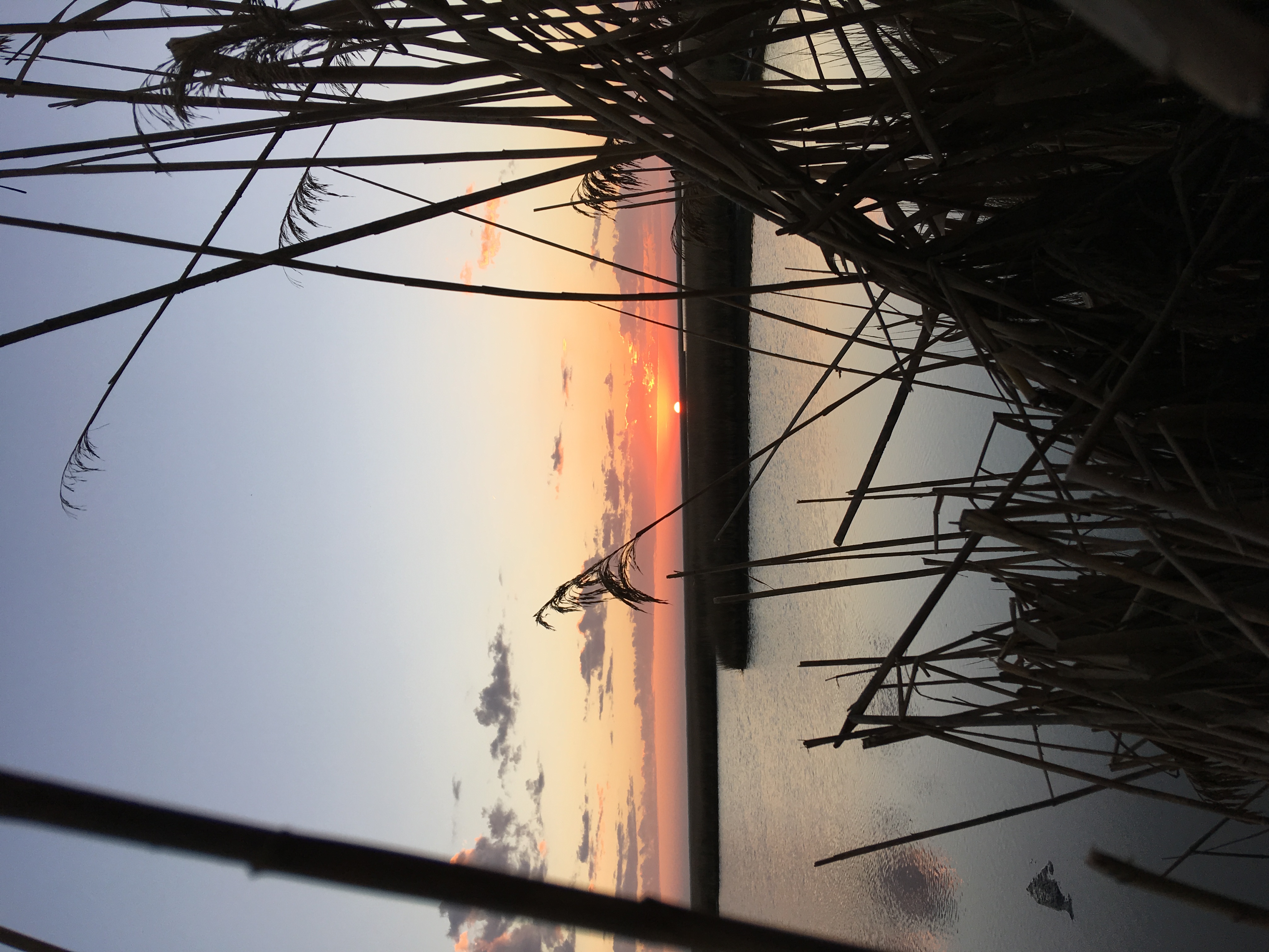 Lytle Farms Marsh at Sunrise