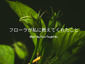 世の中の腸活の誤解を解明