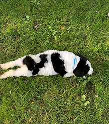 73193154_719717955107459_362697969540215