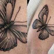 Junior Silivaai Tattoo Tattoo Gold Takapuna Auckland New Zealand