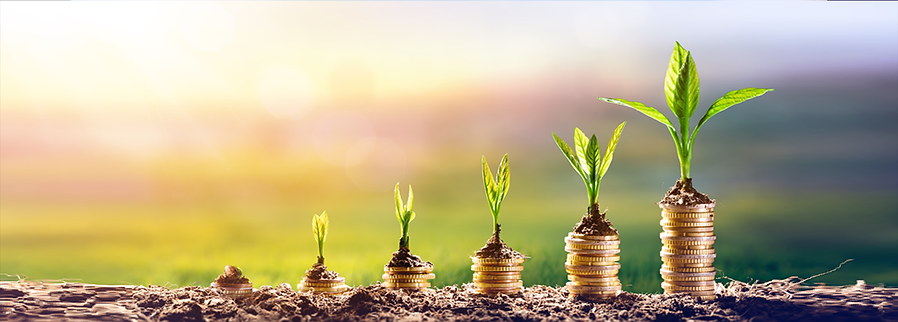 פוליסה פנימי.png