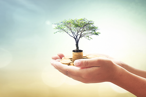 מרץ חיצוני.png