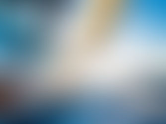 Navigating Procurement