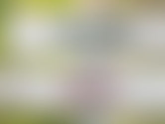 When Your Champion Is the Wrong Kind of Believer