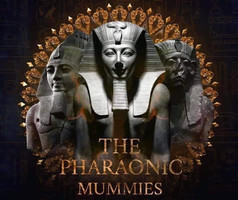 WhatsApp Image 2021-04-06 at 15.54.56.jp