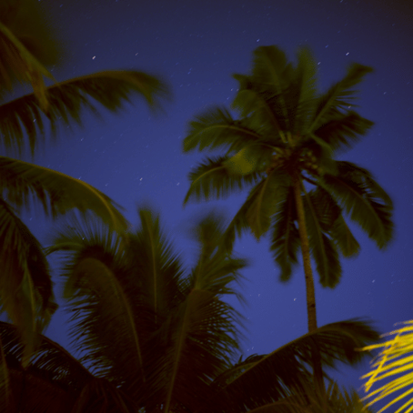 hızır orucu ne zaman 2026, alevilikte hızır orucu, kavut lokması tarifi, hızır cemi nedir, hızır orucunda su içilir mi, boz atlı hızır inancı, niyet suyu rüyası