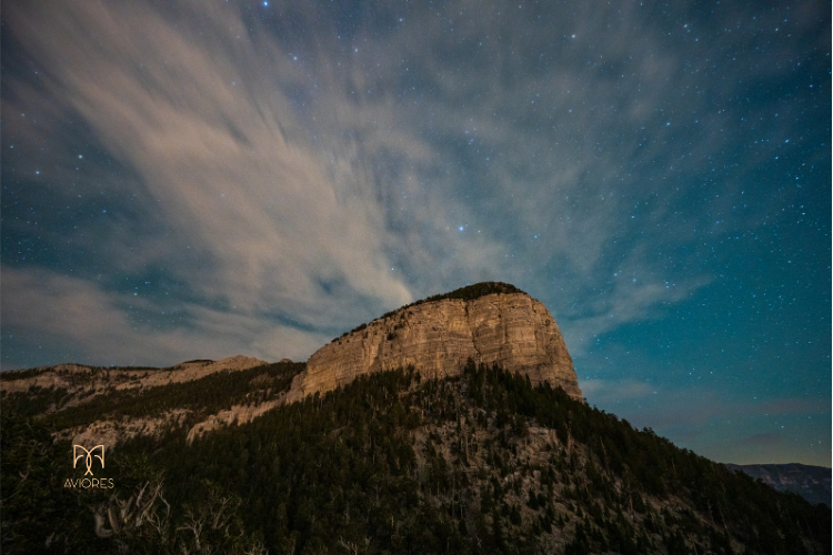 Juno: Kutsal Birlikteliğin Koruyucusu ve İlişki Karması