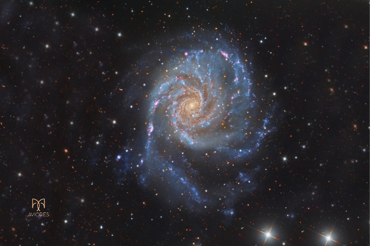 Rigel yıldızı, astroloji Orion takımyıldızı özellikleri, ikizler burcunda Rigel, teknik yetenek veren yıldızlar, beta orionis anlamı, astrolojide onur ve şöhret, Rigel kavuşumu etkileri