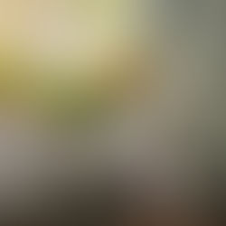 Niyet: Düşüncelerden Eyleme Giden Yol