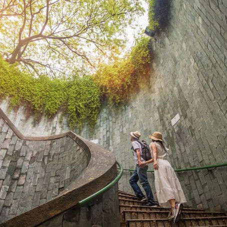 Niyet: Düşüncelerden Eyleme Giden Yol