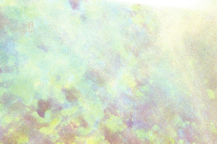 21 haziran yaz gündönümü en uzun gün ne zaman yengeç burcu dönemi yaz ekinoksu ritüelleri güneş yengeç burcunda 21 haziran astrolojik etkileri yaz başlangıcı spiritüel anlamı