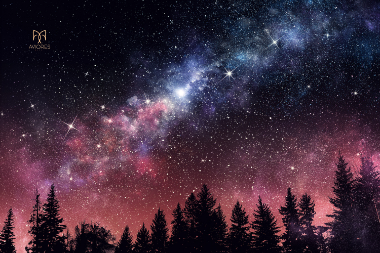 Kuzey Ay Düğümü Balık: