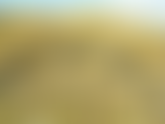                                La historia de los olvidados  