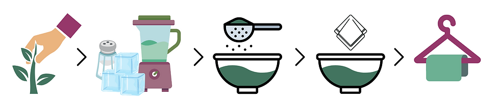 processus d'extraction du bleu indigo